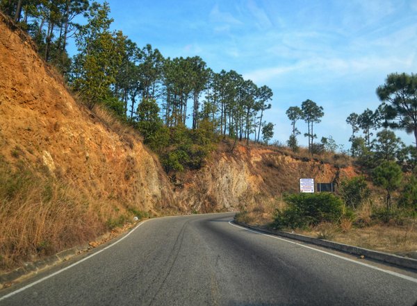 Tout sur les remorques pour vélos